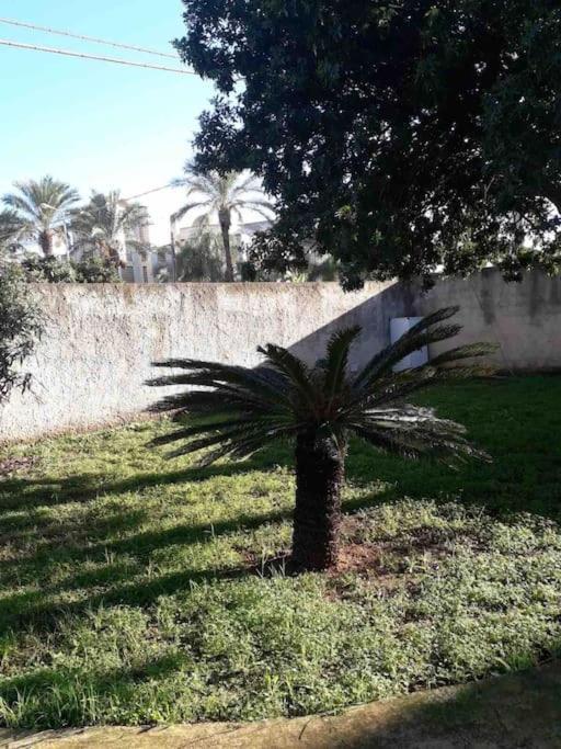 Villa Singola A 1300 Mt Dal Mare Mazara del Vallo Buitenkant foto